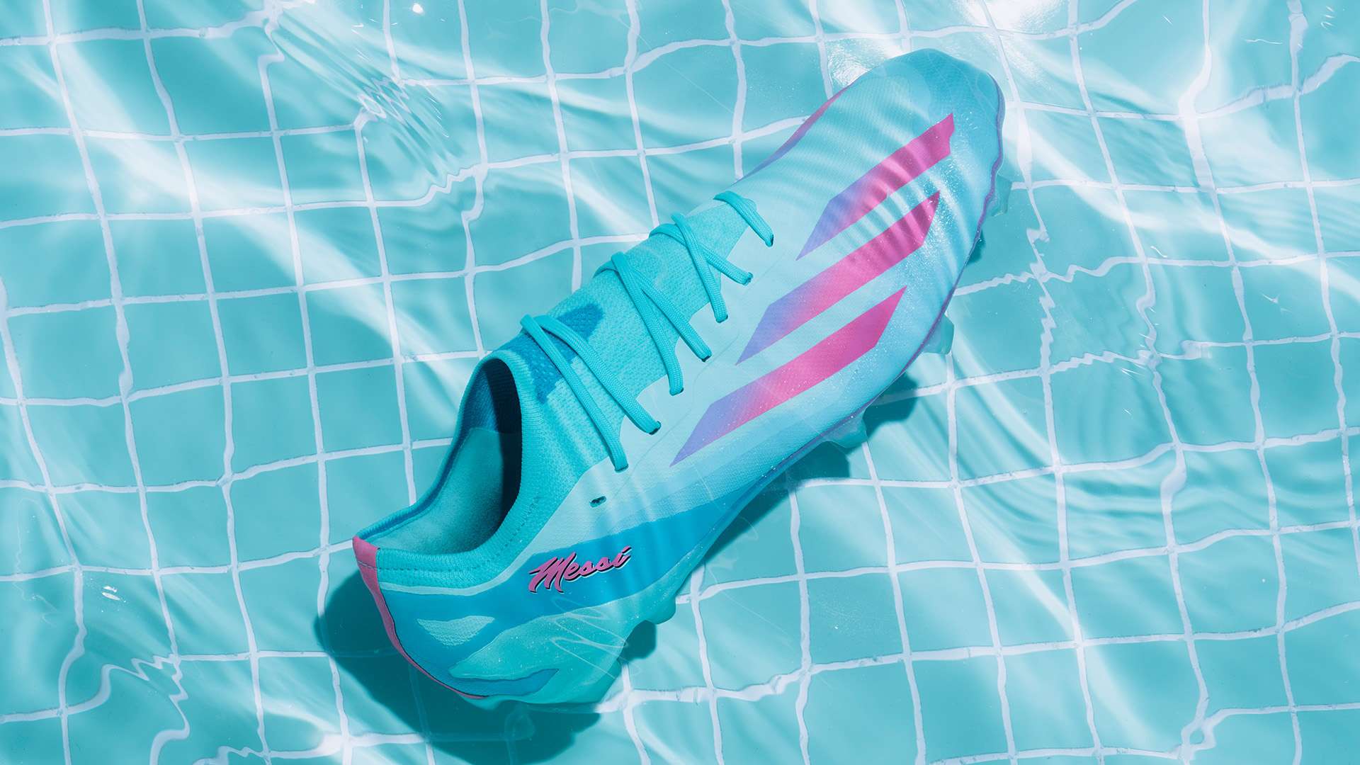 仅揭示了弗 仅揭示了弗